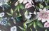 Шпалери Holden Amazonia, Passiflora Black
